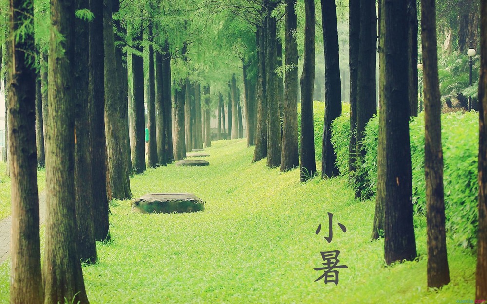 河南汽车维修平台APP