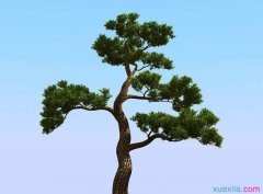 河南汽车维修平台APP