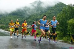 贵州药材APP