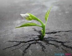 kaiyun体育app官网下载苹果版本V1.7专业版