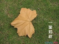 河南汽车维修平台APP
