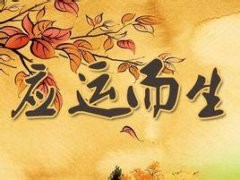 和笔记苹果手机版