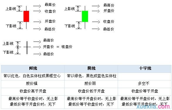 wintc中文版