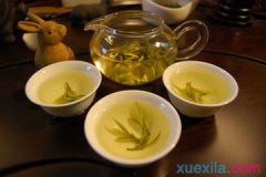 克罗地亚天博注册