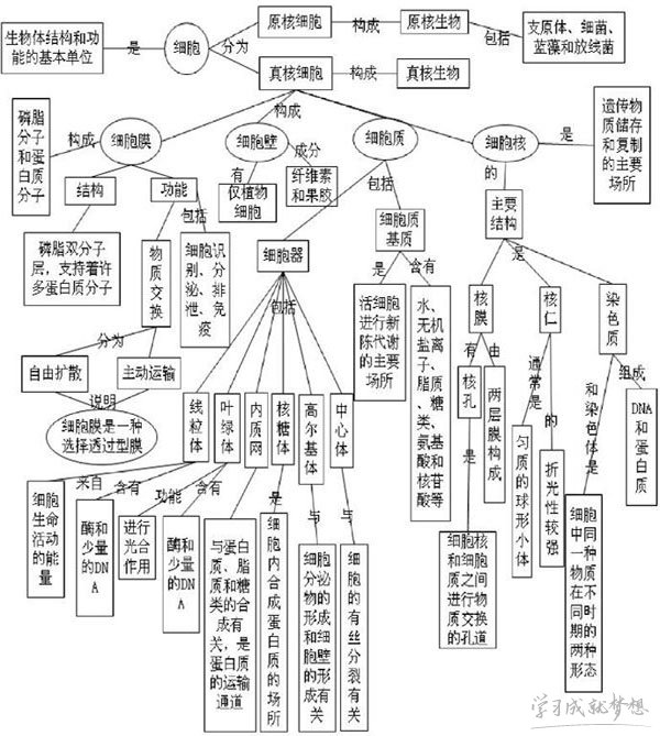 河南汽车维修平台APP