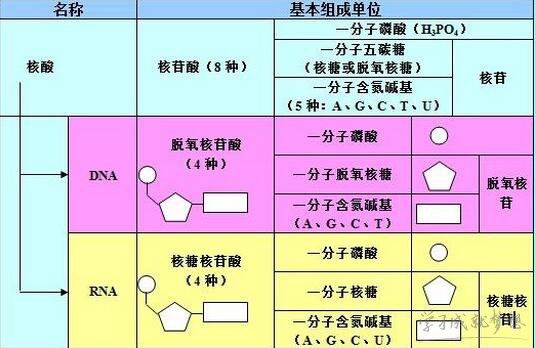河南汽车维修平台APP