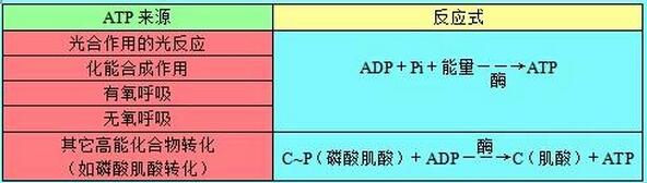 eman安卓版