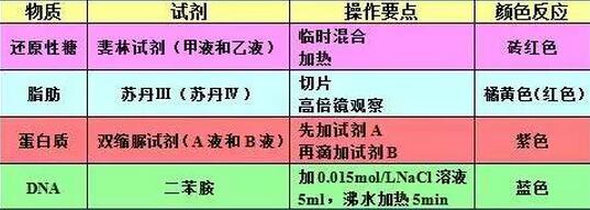 eman安卓版