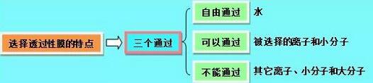 物理学教程第三版(上下册+习题答案)
