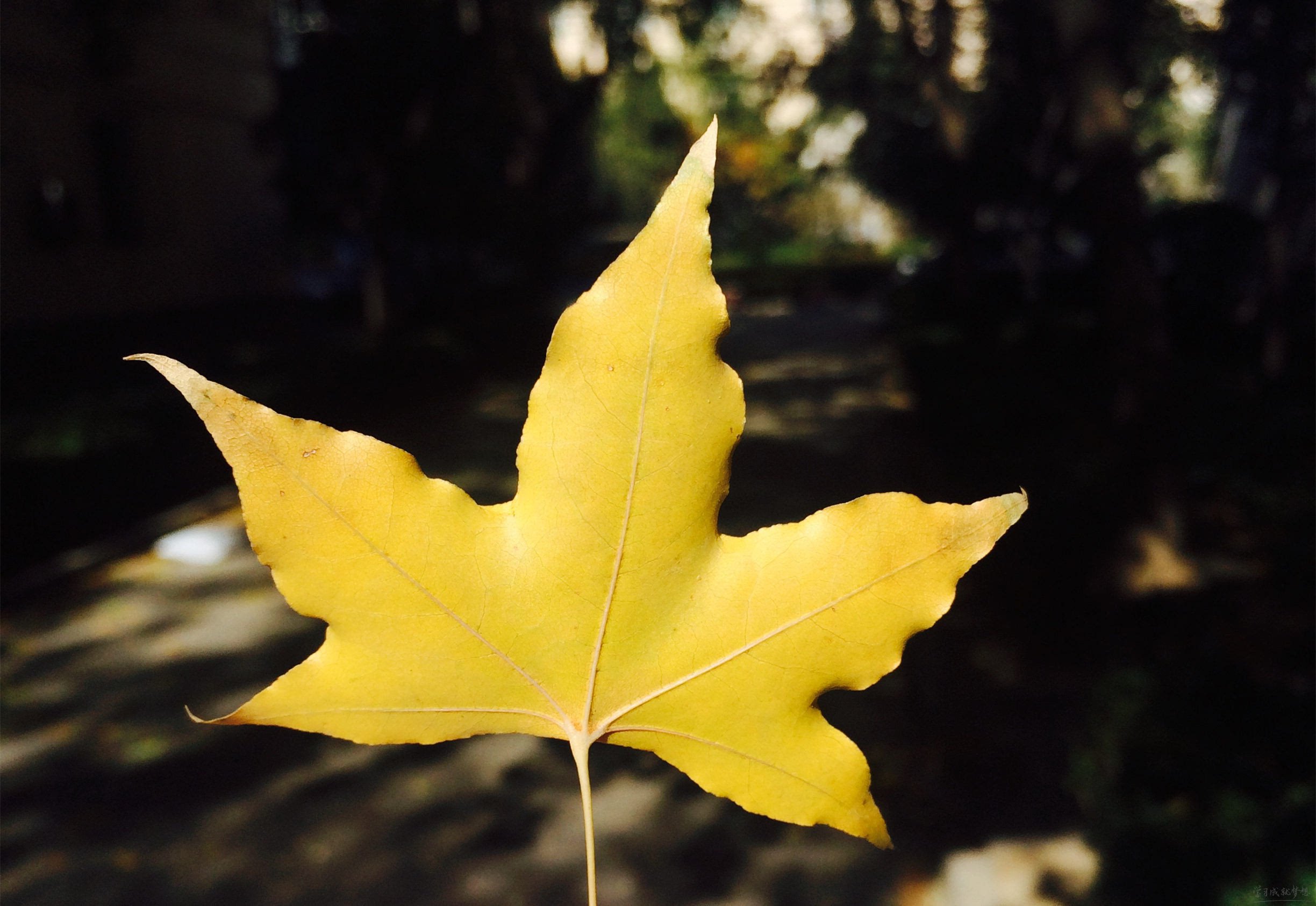 kaiyun中国官方网V1.8专业版