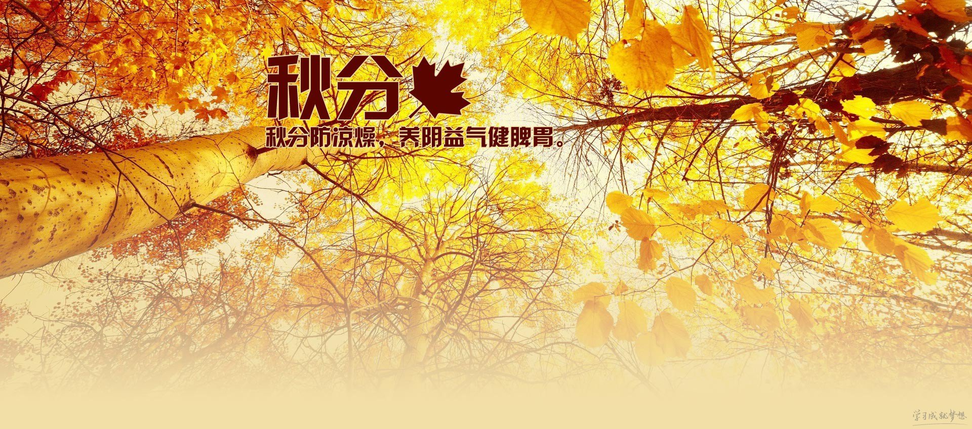 kaiyuncomapp