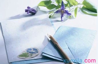 雪人翻译软件修改版