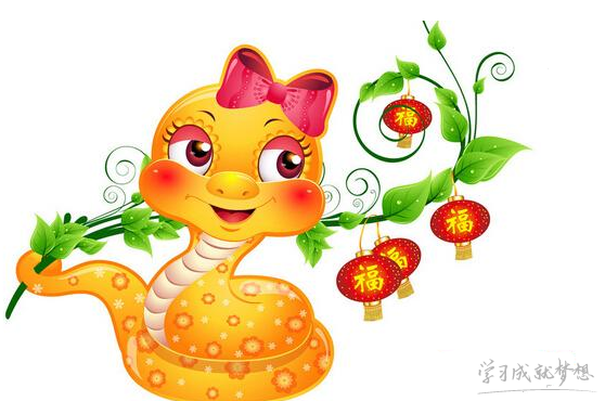 幸运计划appV6.7专业版
