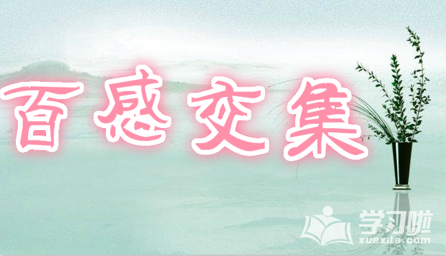 namo gif animator(gif制作软件)