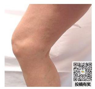 美鲜乐手机版
