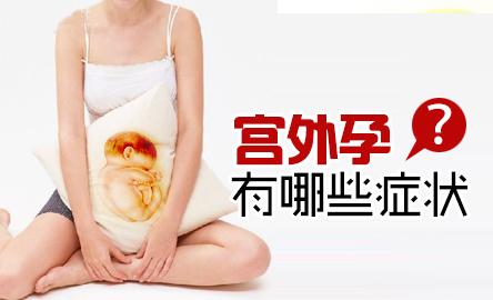 DVD Author Plus(免费的DVD制作工具)