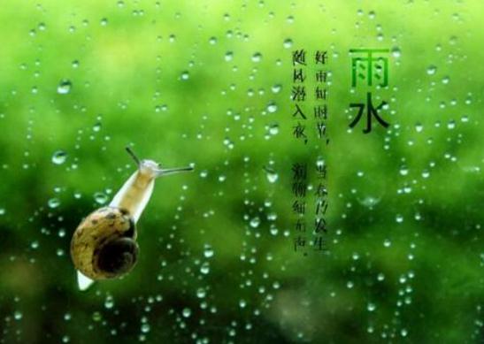 ky体育app官网登录入口2025版新职业技能展示