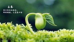 小熊洗车APP