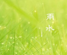 果盘宠物小精灵XY手游