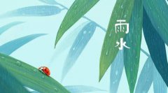 bodog网址V6.4专业版