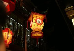 785cc彩票登录2025版新职业灵狐技能展示