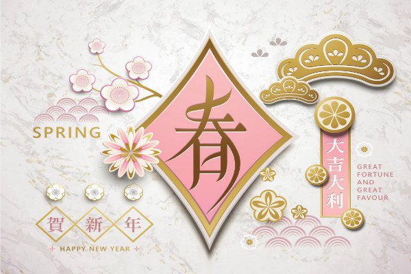 博雅棋牌appV1.4专业版