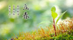 eman安卓版