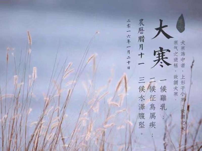 贵州药材APP