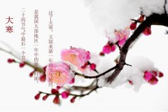 乐发lv彩票注册V3.9专业版