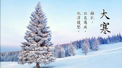 白菜棋牌appV8.3专业版