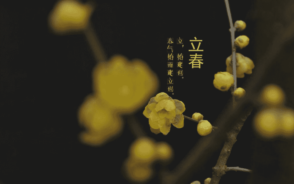 eman安卓版