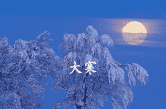 金太阳注册V1.8专业版