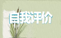 硬盘监视(Hard Drive Inspector Pro)