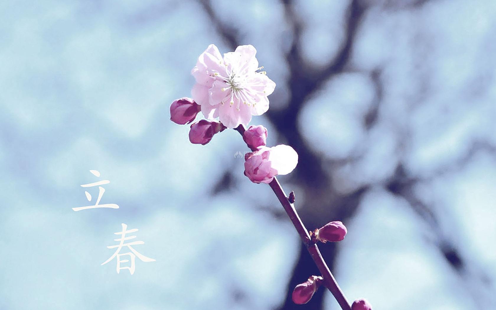 威尼斯体育入口
