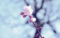 威廉足球appV9.2专业版