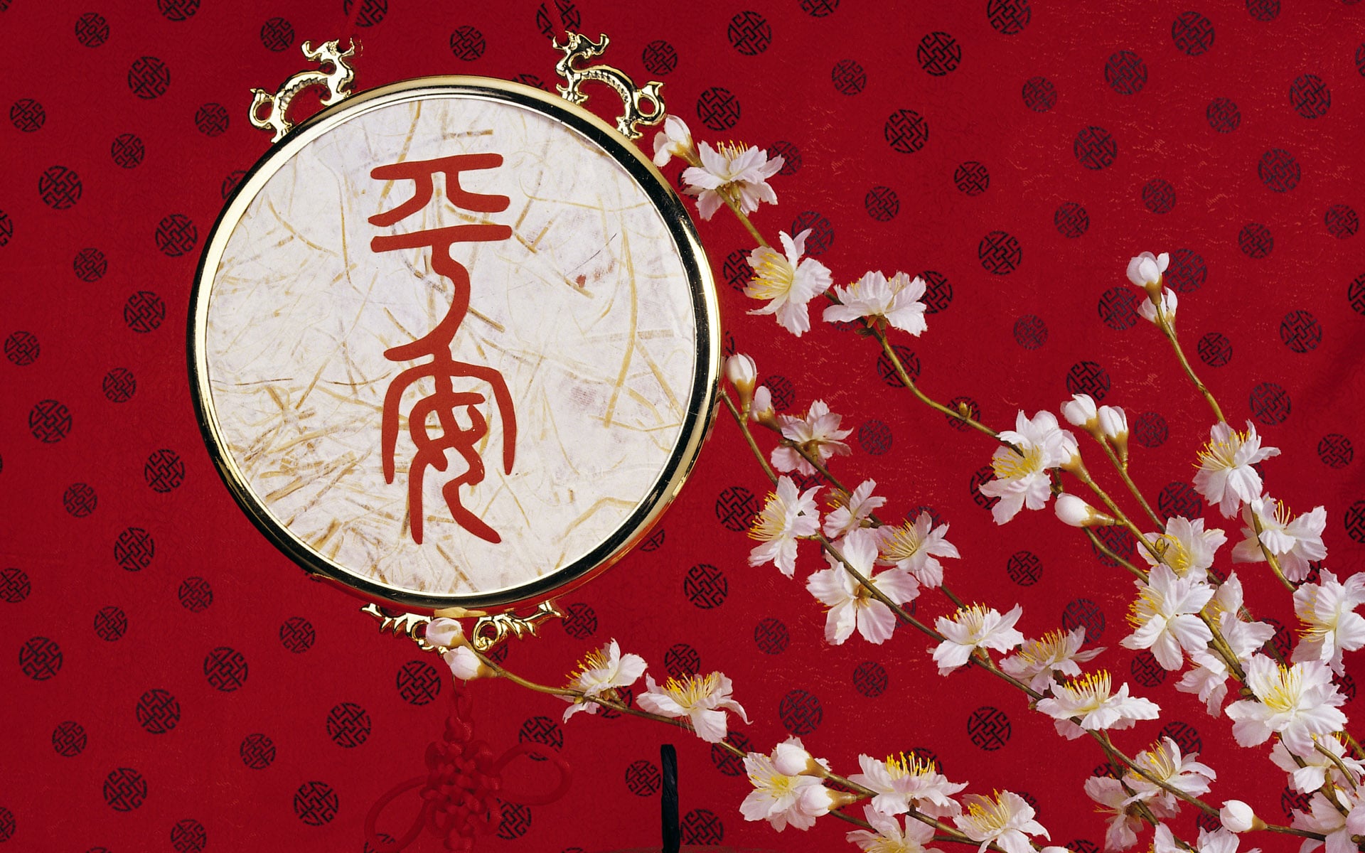 贵州药材APP
