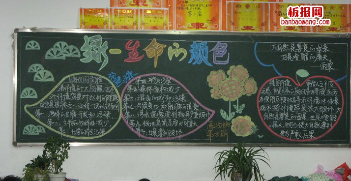 ac大满贯app