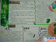 买球的软件app