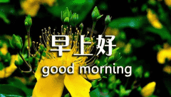 河南汽车维修平台APP