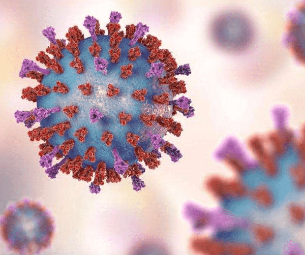 和记旗舰厅注册