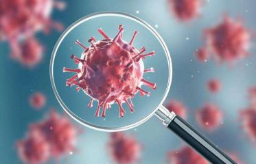 瑞博手机ios客户端2025最新版科技研究界面