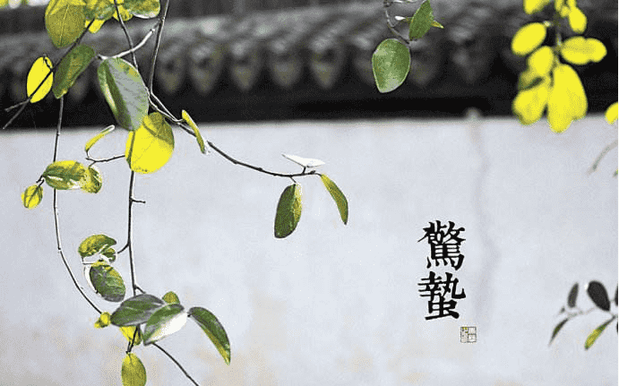 贏多多app