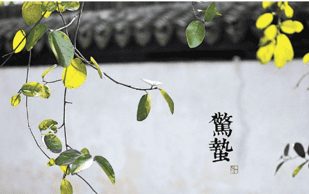 金梅特黑火焰字形