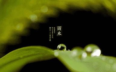 eman安卓版