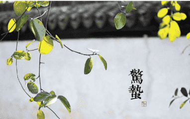 bob视讯入口 2025版 飞船内部走廊场景