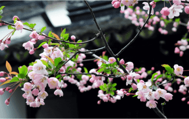 51彩虹2010