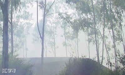 崇德社保