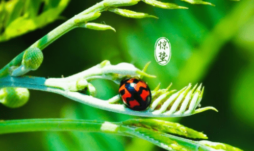 小熊洗车APP