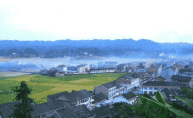 eman安卓版