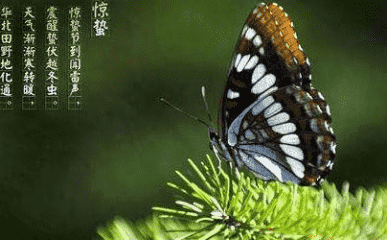 河南汽车维修平台APP